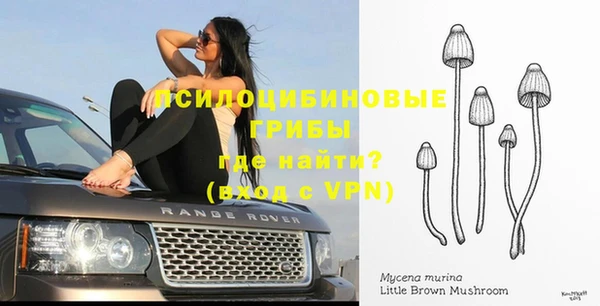 mix Вяземский