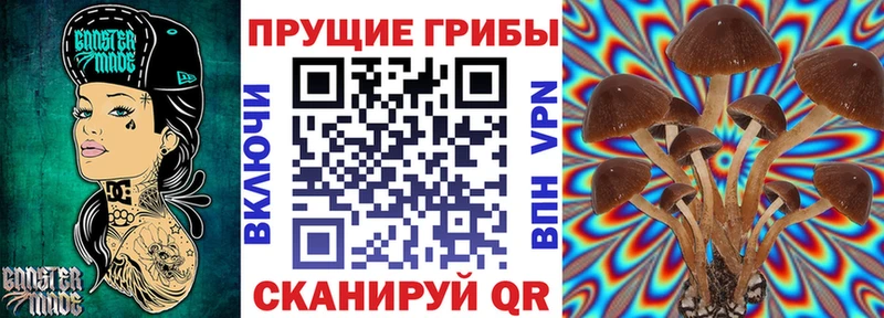 mega ONION  Нижневартовск  Галлюциногенные грибы GOLDEN TEACHER  закладка 